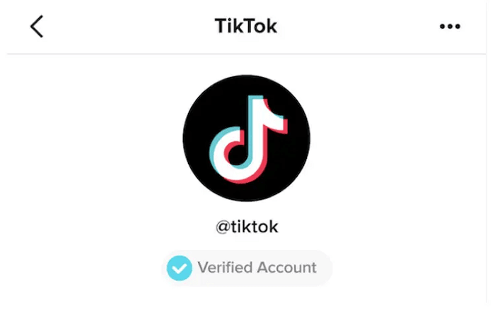 How to Get Verified on TikTok for Free [No Human Verification]